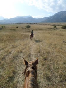 Horse riding in Aksu Jabagly nature reserve, Kazakhstan